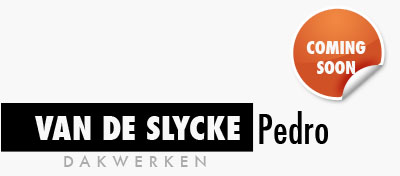 VAN DE SLYCKE Pedro, dakwerken